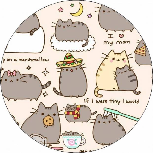 Jedlý papír Pusheen tapeta 19,5 cm