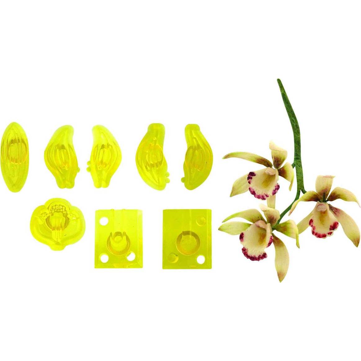 Fotografie Vykrajovátka 8ks – malá orchidej Cymbidium - PME